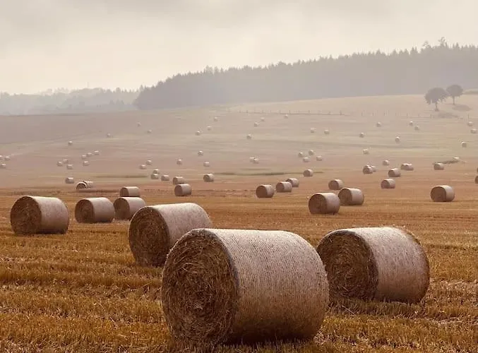 Les Champs: Dans Batisse De 1718 Renovee Apartmán Cudrefin